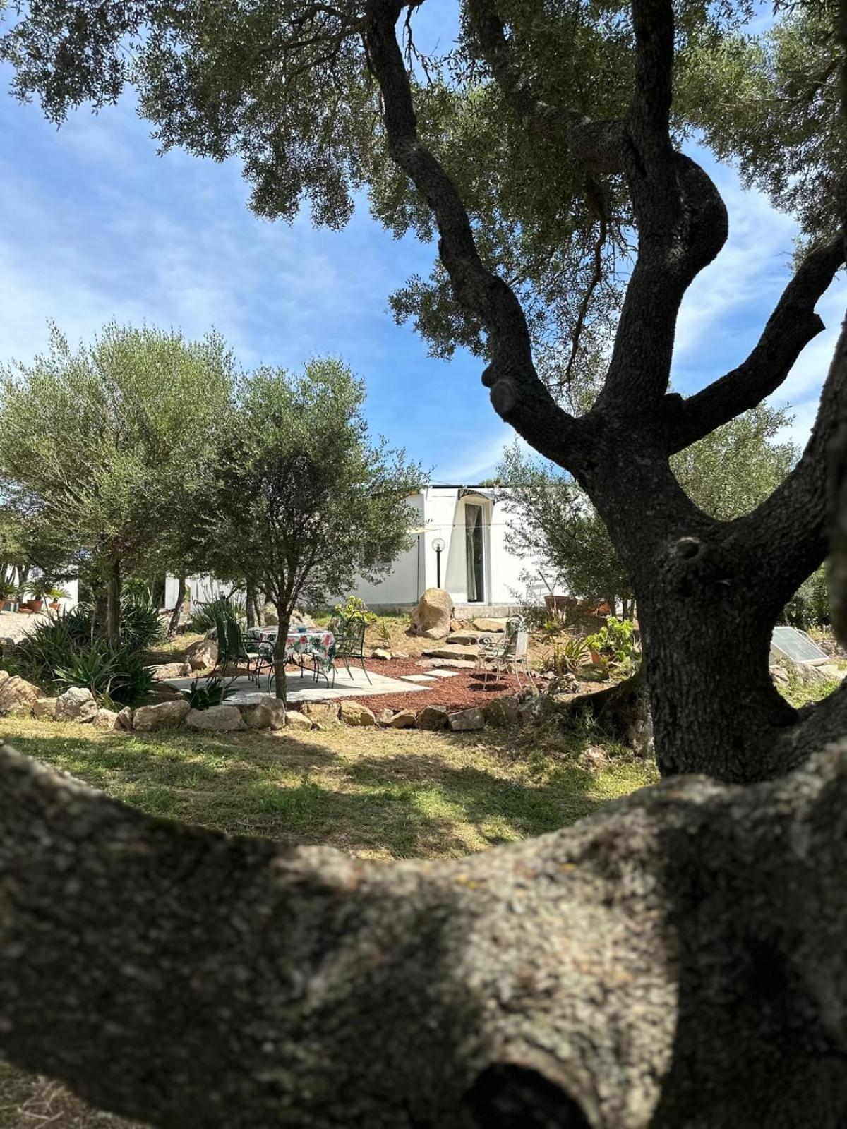 Casa Mariposa Porto Rotondo Villa Rudalza Екстериор снимка